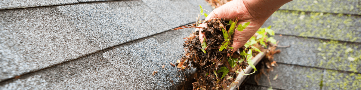clearing leaves from gutters, new home maintenance guide