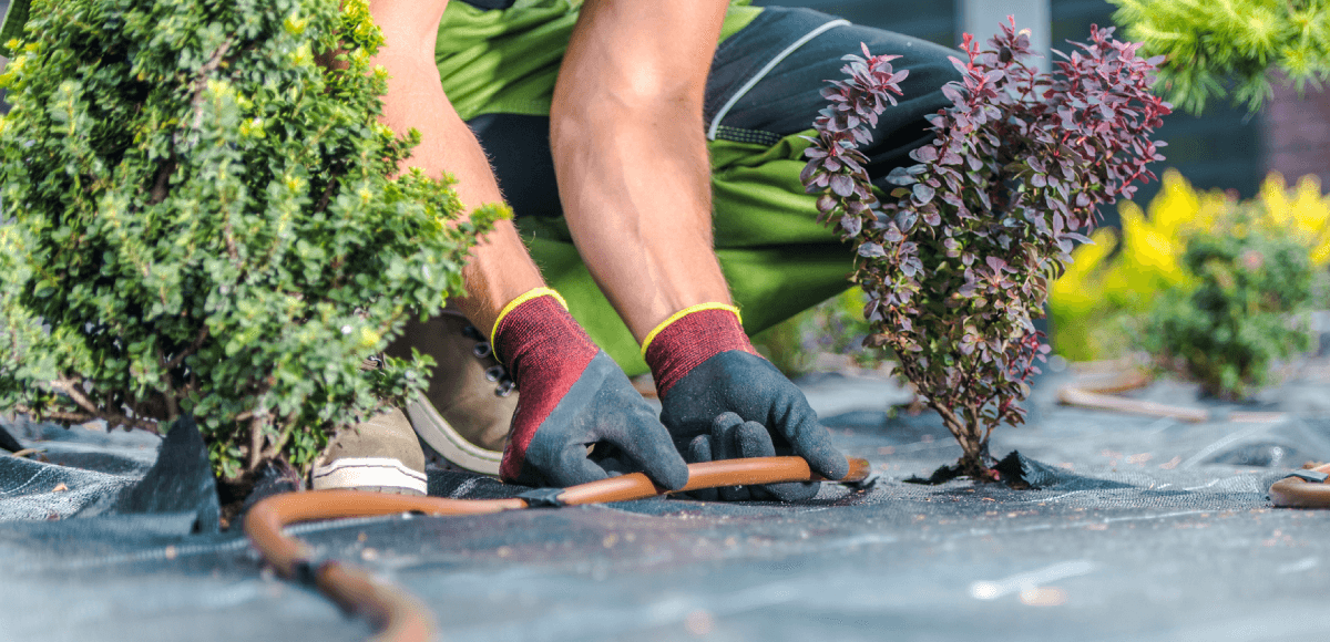 person gardening, new home maintenance guide